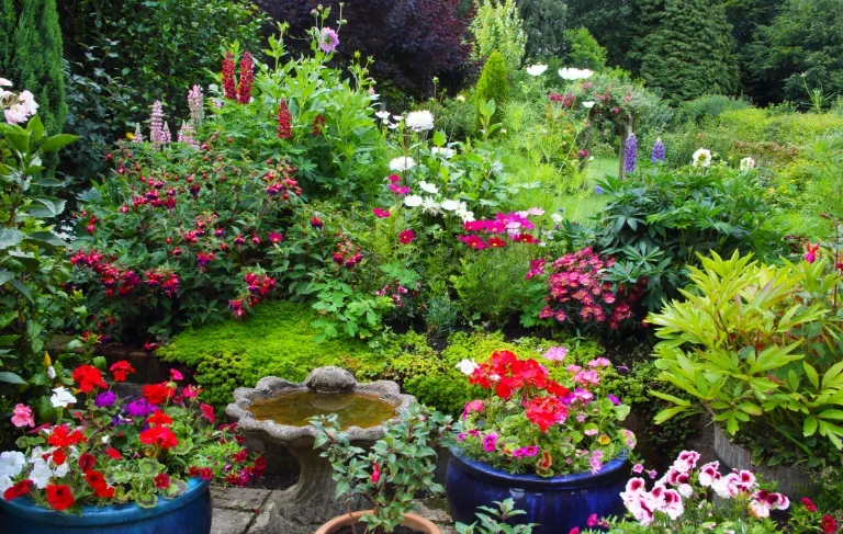 Ogród z kolorowymi kwiatami